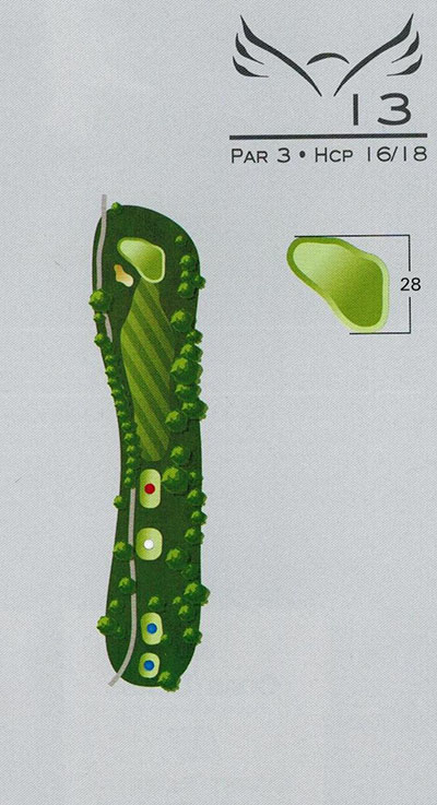 13