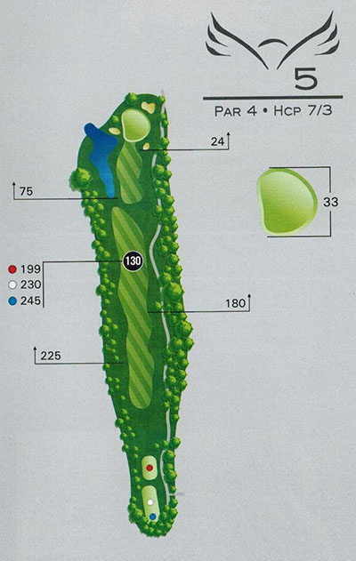 5 (1)