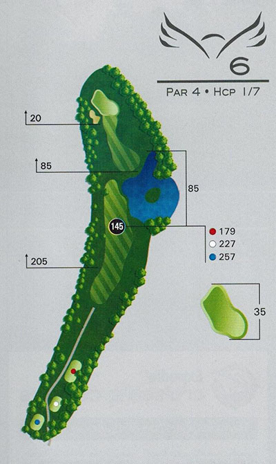 6 (1)