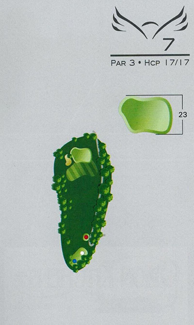 7 (1)
