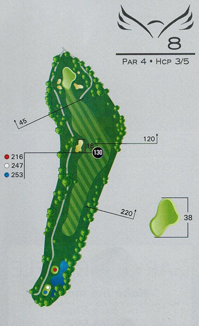 8 (1)