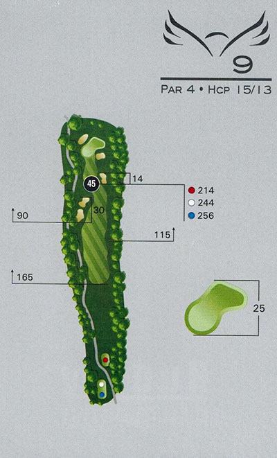 9 (1)